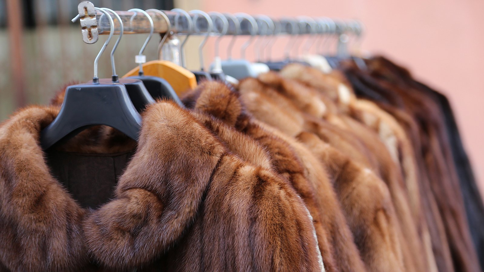 Designers Including Stella McCartney And Vivienne Westwood Urge UK Prime Minister To Ban Fur Sales