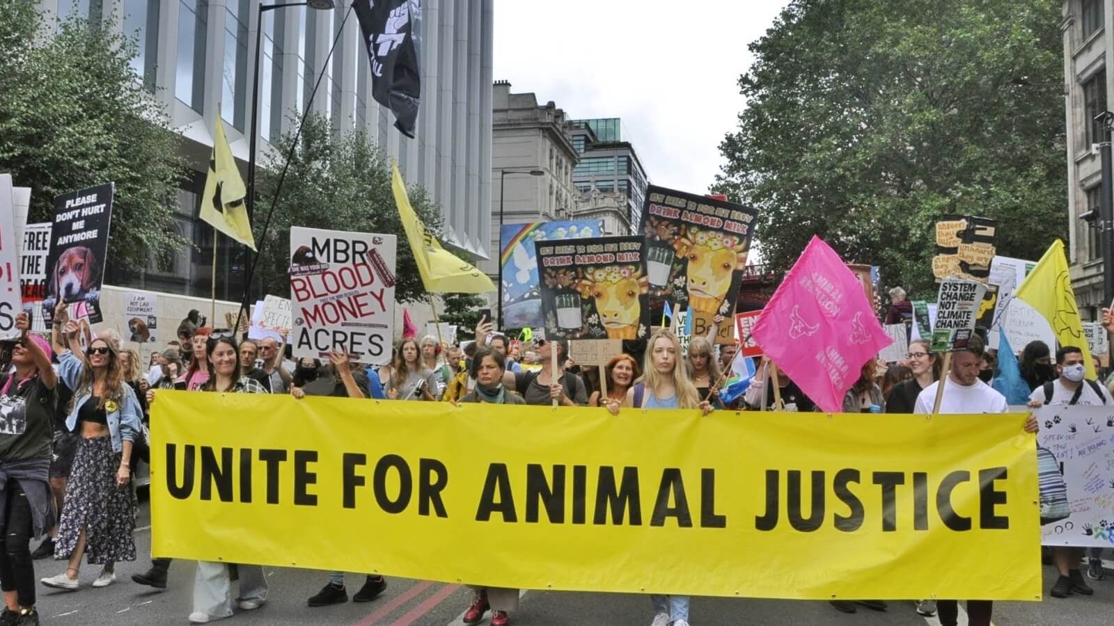 Animal freedom justice movement march in london